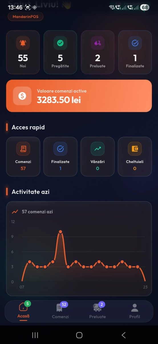 Bistro Delivery statistici zilnice și grafic comenzi livrate