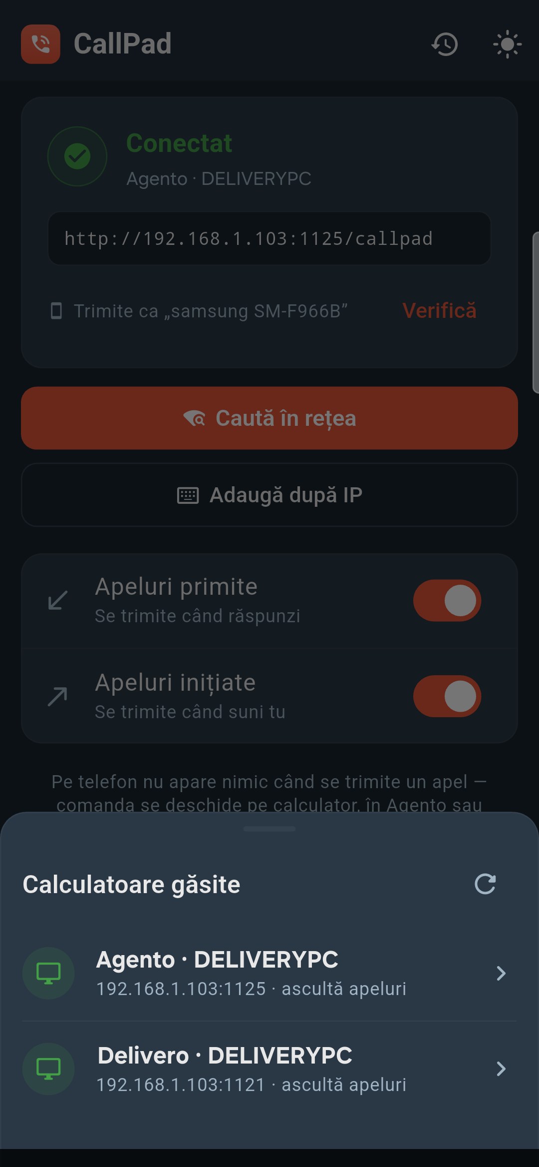 Caută în rețea — calculatoarele găsite, gata de ales — CallPad, aplicație apeluri call center
