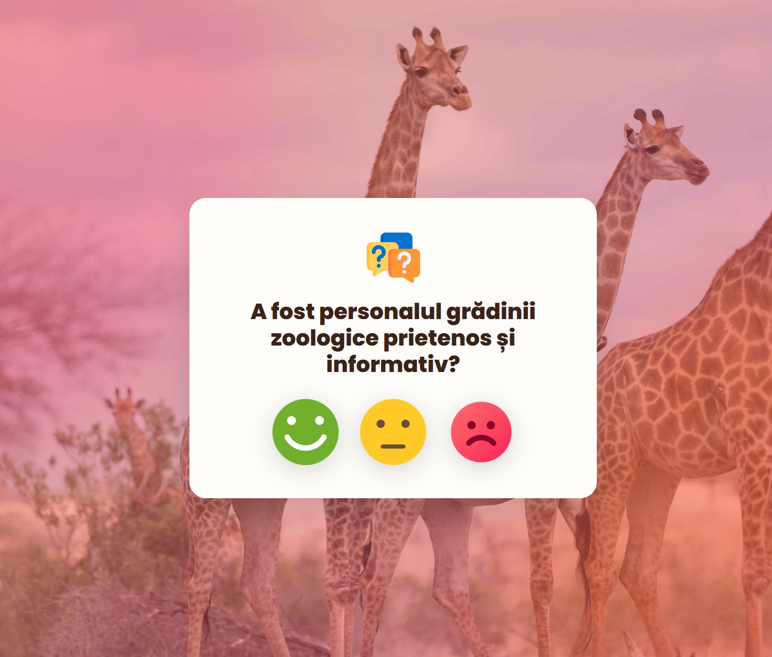 Intrebare de feedback despre amabilitatea personalului