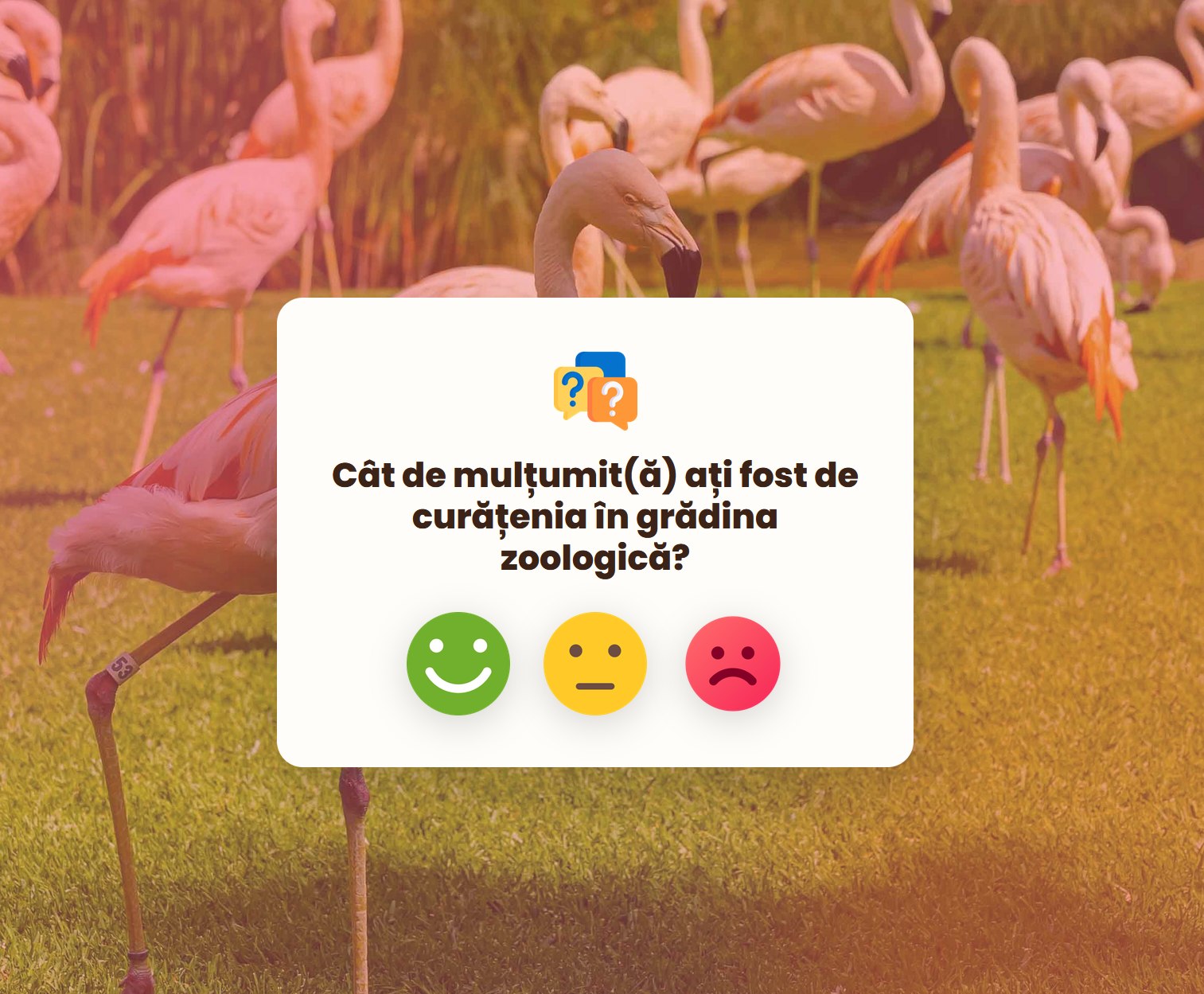Sondaj de satisfactie clienti cu rating emoji